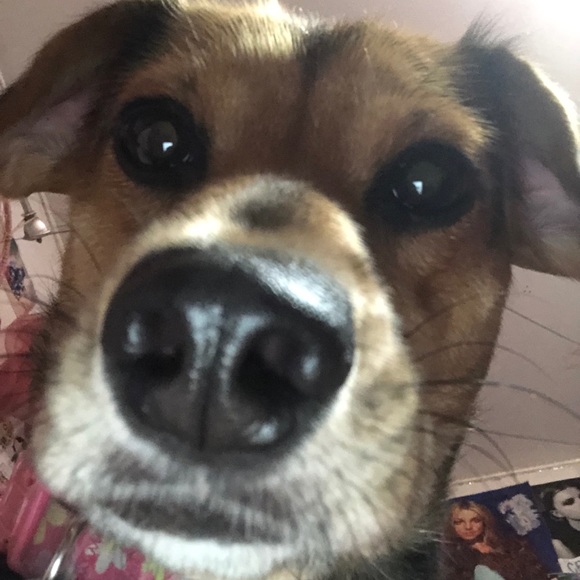 💗⭐️💗CHAR💗⭐️💗 - Picture 6 of 8